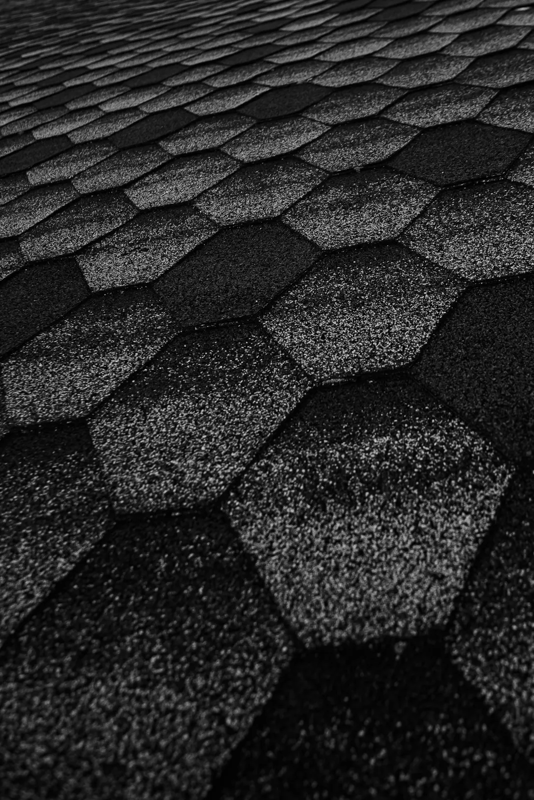 Roof slope covered in dark toned hexagonal asphalt shingles